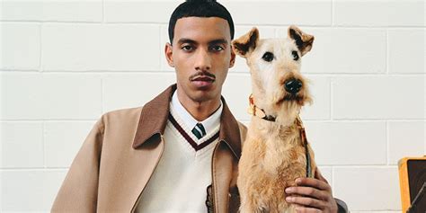 hypebae louis vuitton|Louis Vuitton Drops Dog Campaign for SS25 .